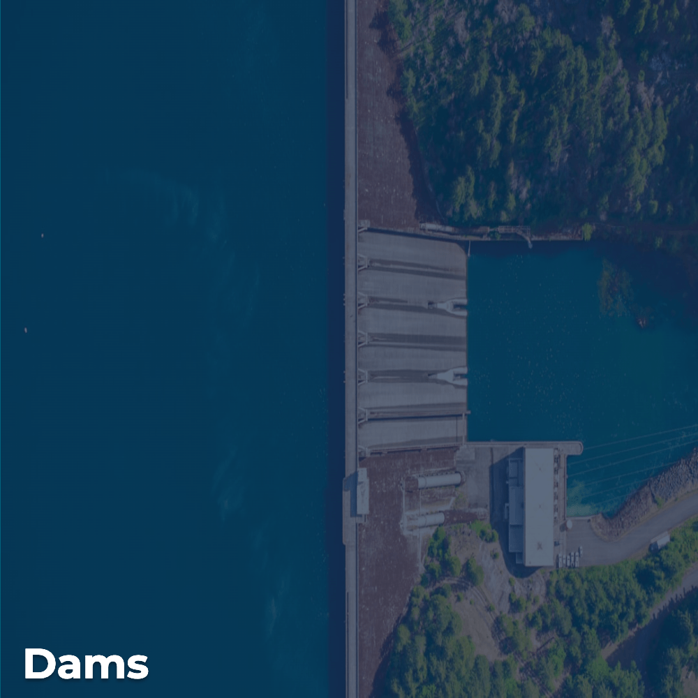 Dams Sector