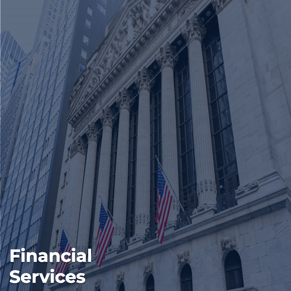 Financial Services Sector