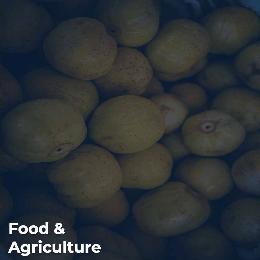 Food & Agriculture Sector